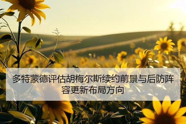 多特蒙德评估胡梅尔斯续约前景与后防阵容更新布局方向